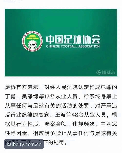 深度解读足协第三批禁足名单的实用指南——从行业乱象看体育精神回归