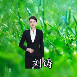 刘涛